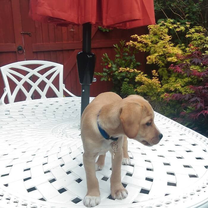 June tuintafel (6 persoons set)