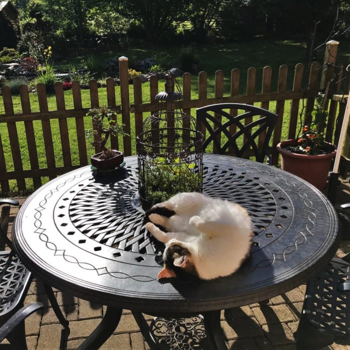 Amy tuintafel (6 persoons set)