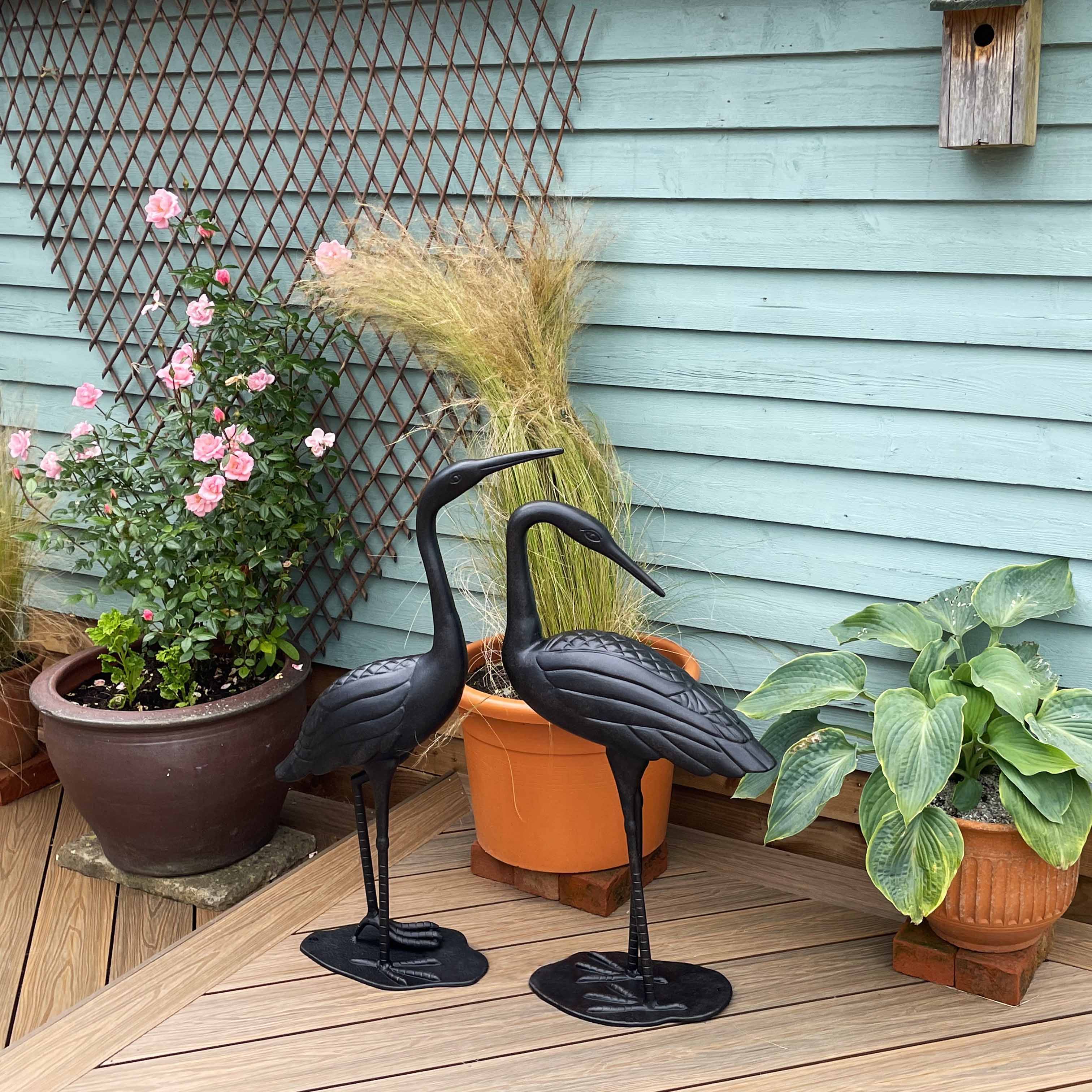 Kraanvogel Paar