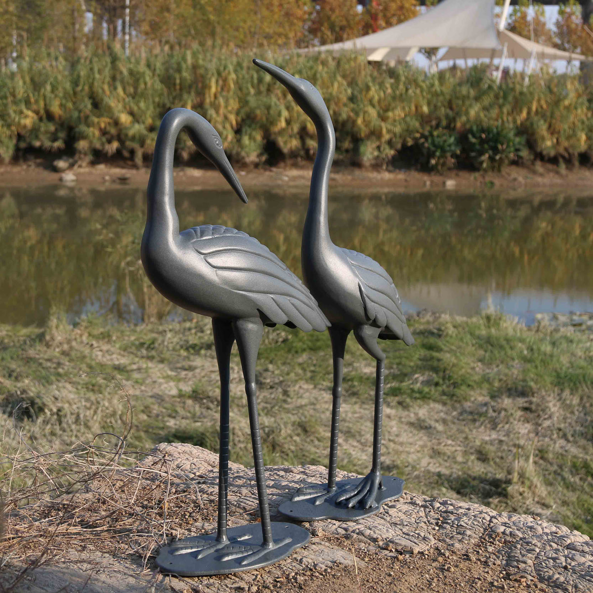 Kraanvogel Paar - Leigrijs