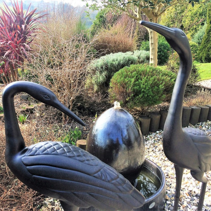 Kraanvogel Paar