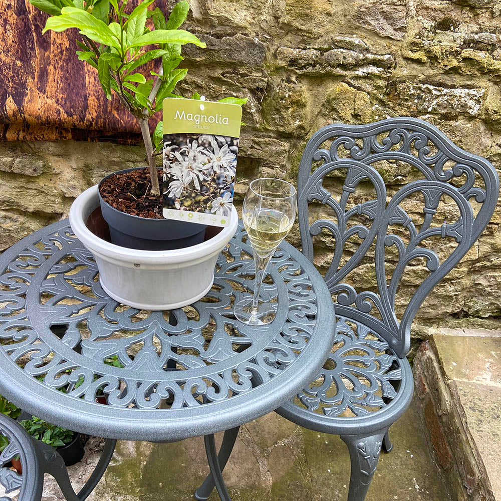 Tulip bistroset (2 persoons set)