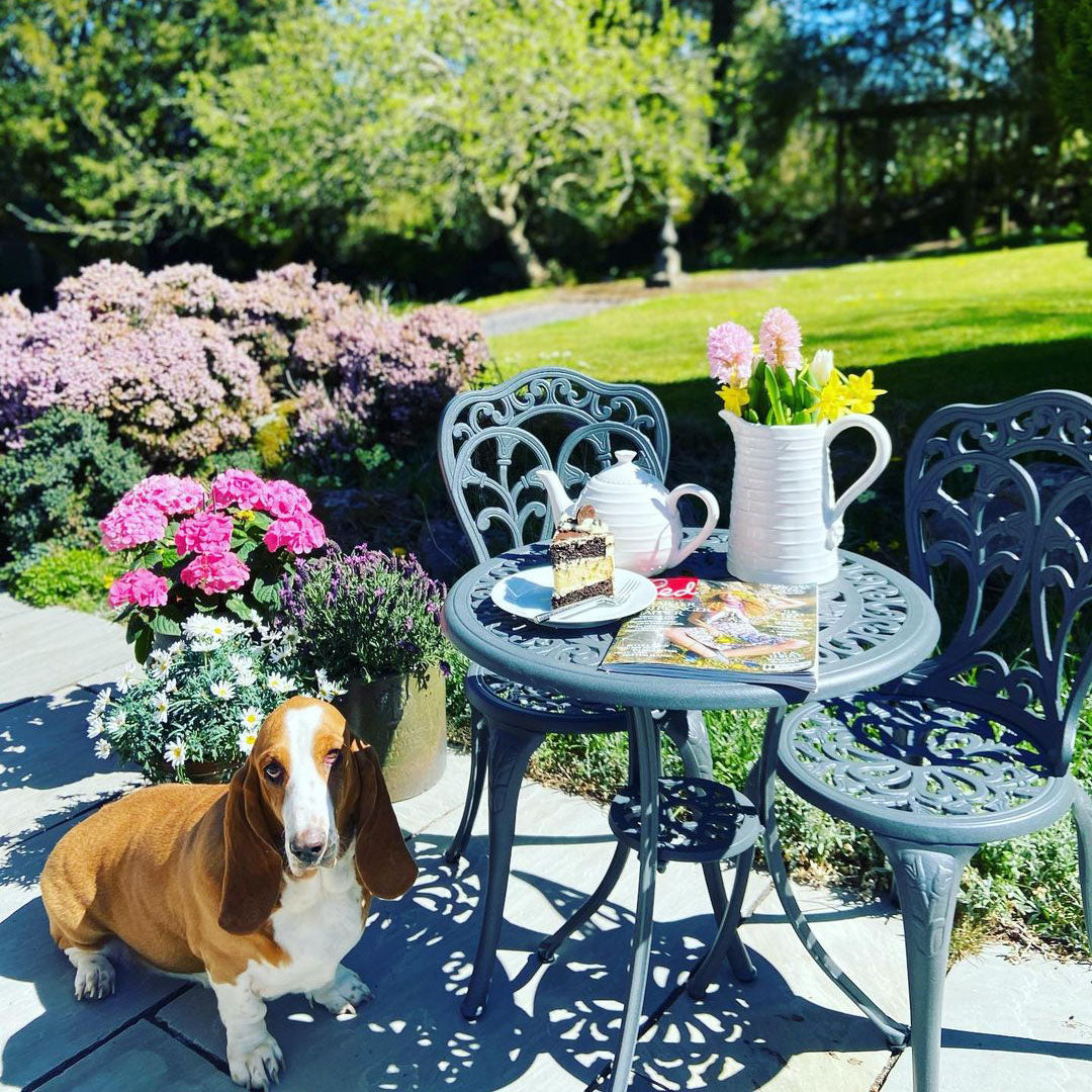 Tulip bistroset (2 persoons set)