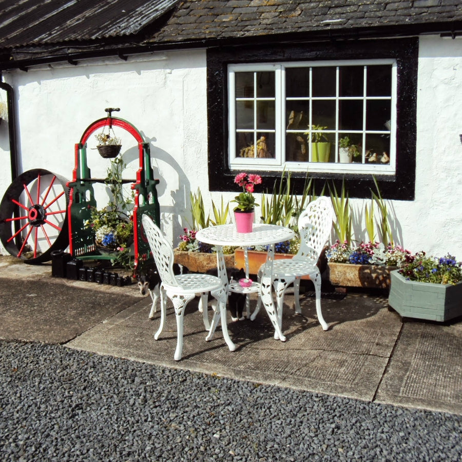 Rose Bistroset - Wit
