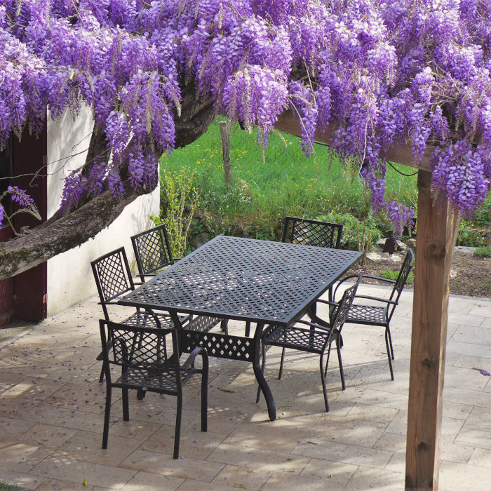 Sophia tuintafel (6 persoons set)