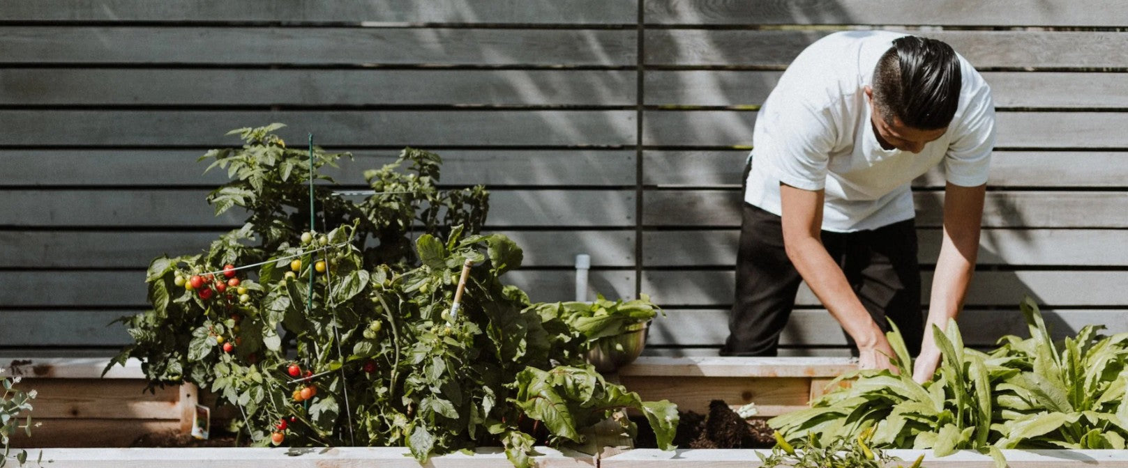 Hoe leg je een kleine moestuin aan?