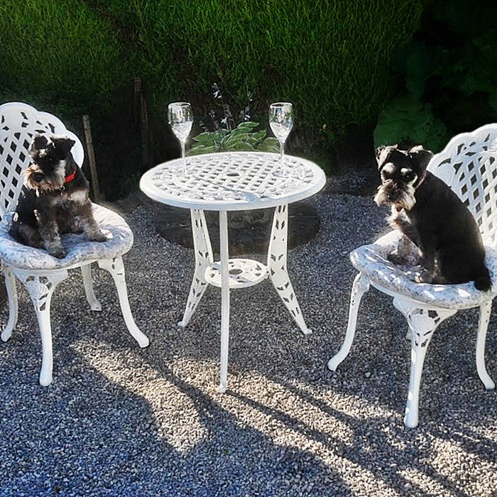 Rose Bistroset (2 Persoons Set)