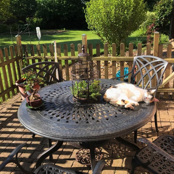 Amy Tuintafel (6 Persoons Set)