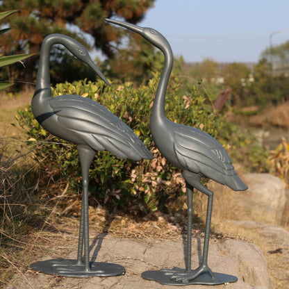 Kraanvogel Paar