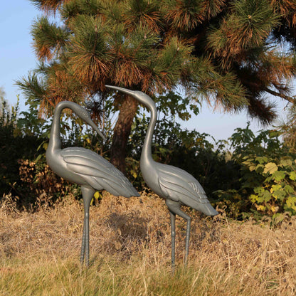 Kraanvogel Paar