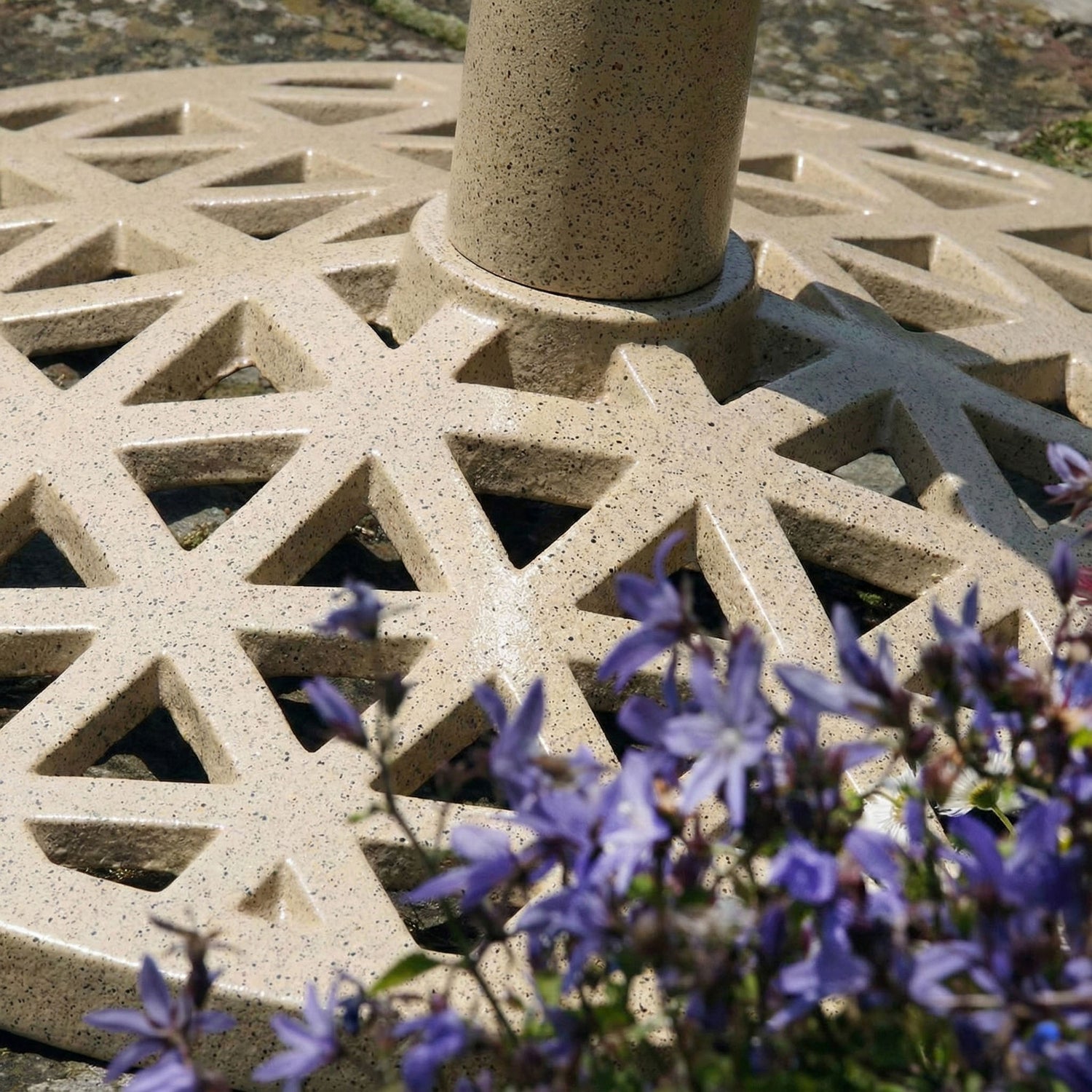 PARASOLVOET