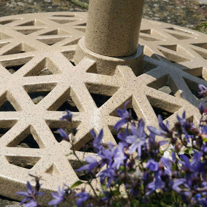 PARASOLVOET