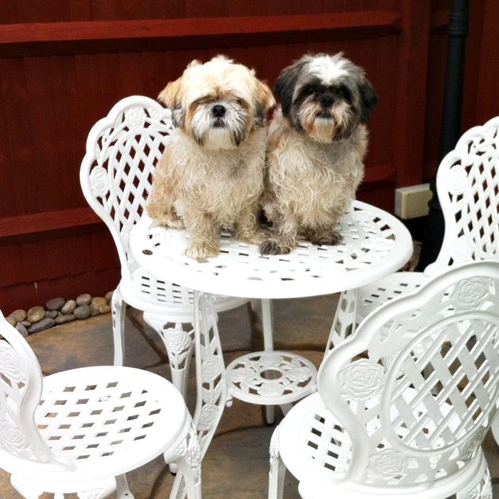 ROSE Bistroset (Tafel en 2 stoelen)